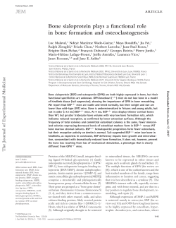 Bone sialoprotein plays a functional role in bone formation