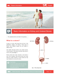 Basic Information on Kidney and Ureteral Stones