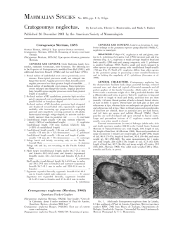 Cratogeomys neglectus