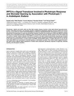 RPT2 Is a Signal Transducer Involved in Phototropic