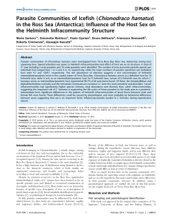 Parasite Communities of Icefish (Chionodraco hamatus) in the Ross