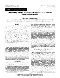 Concerning a Dual Function of Coupled Cyclic Electron Transport in