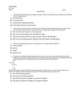 A. It is unicellular. B. It is prokaryotic. C. It reproduces using binary