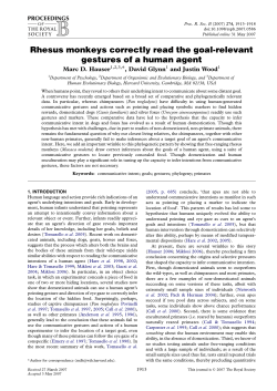 Rhesus monkeys correctly read the goal