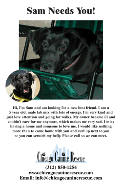 Sam Needs You w/out tabs