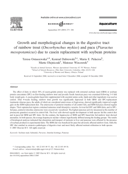 Growth and morphological changes in the digestive tract of rainbow