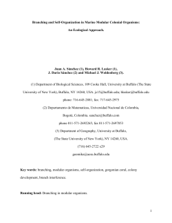 1 Branching and Self-Organization in Marine Modular Colonial