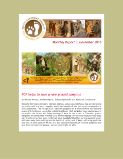 RCP Monthly Report: December 2016