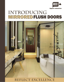 mirrored flush doors