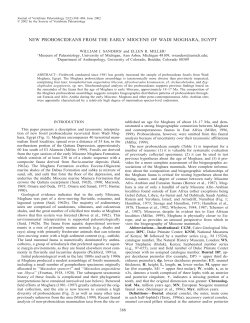 Sanders and Miller Wadi Moghara Proboscidea