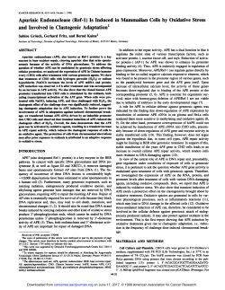 Apurinic Endonuclease (Ref-1) Is Induced in
