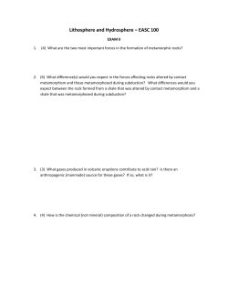2007 Exam 2