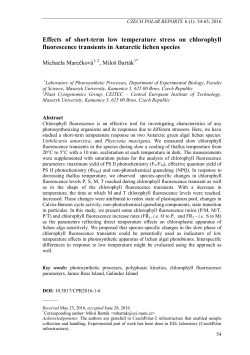 Effects of short-term low temperature stress on chlorophyll