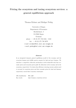 a general equilibrium approach