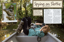 Spying on Sloths