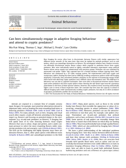 Can bees simultaneously engage in adaptive foraging
