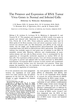 The Presence and Expression of RNA Tumor Virus Genes in Normal