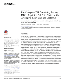 The C. elegans TPR Containing Protein, TRD-1