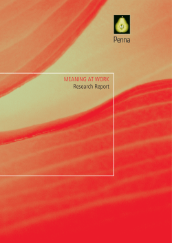 MEANING AT WORK Research Report