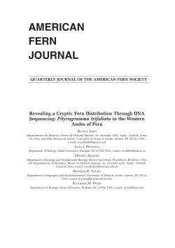 AMERICAN FERN JOURNAL - Kathleen Pryer