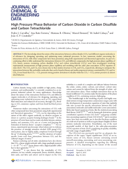 High Pressure Phase Behavior of Carbon Dioxide in Carbon