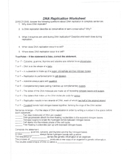 DNA`Replication Worksheet