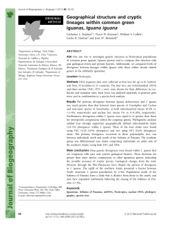 Geographical structure and cryptic lineages within common green