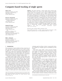 Computer-based tracking of single sperm
