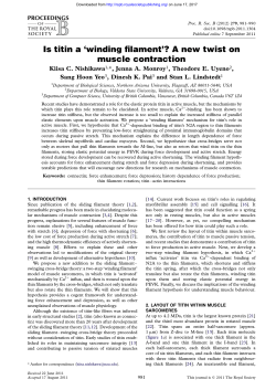 Is titin a `winding filament`? - Proceedings of the Royal Society B