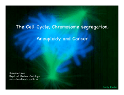The Cell Cycle, Chromosome segregation, Aneuploidy and