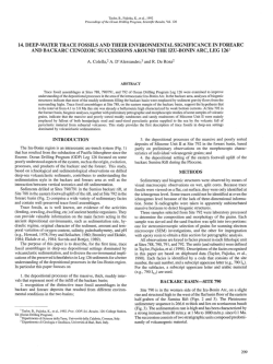 14. Deep-Water Trace Fossils and Their Environmental Significance