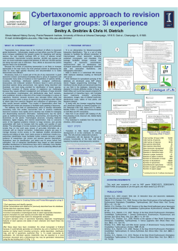 Dmitriev Cybertaxonomy