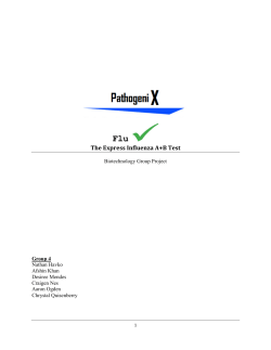 Technical Report+Business Plan