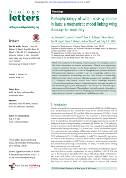 Pathophysiology of white-nose syndrome in bats: a mechanistic