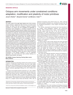 Octopus arm movements under constrained conditions: adaptation