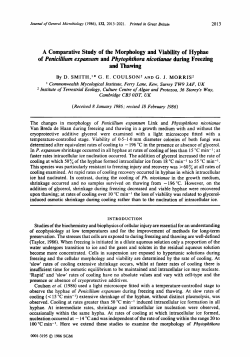 A Comparative Study of the Morphology and Viability