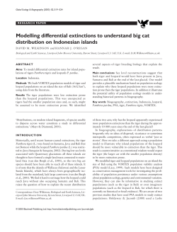 Modelling differential extinctions to understand big cat