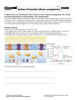 blm_12_2_actionpotential