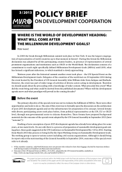 3 / 2013 POLICY BRIEF