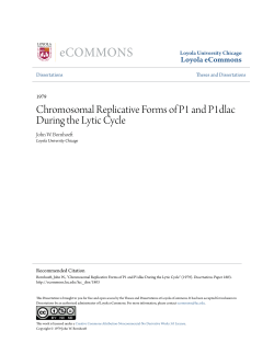 Chromosomal Replicative Forms of P1 and P1dlac During the Lytic