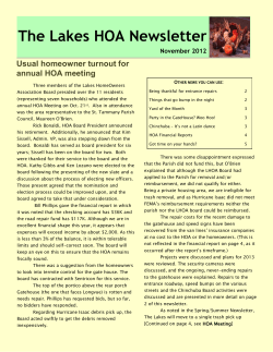 The Lakes HOA Newsletter