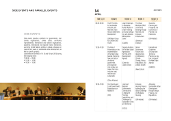 parallel and side events - UN