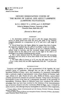 oxygen dissociation curves of the blood of larval and adult lampreys