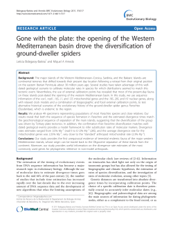 Gone with the plate: the opening of the Western Mediterranean