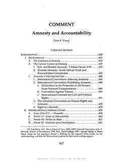 Amnesty and Accountability