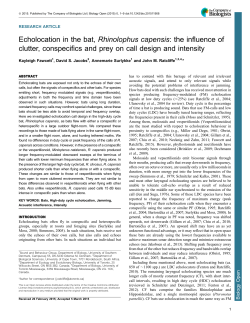 Echolocation in the bat, Rhinolophus capensis: the influence of