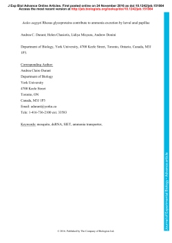 Aedes aegypti Rhesus glycoproteins contribute to ammonia