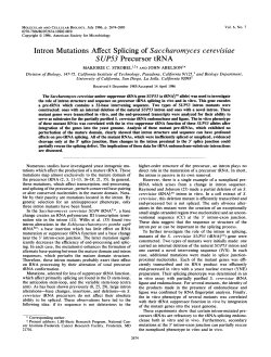 Intron Mutations Affect Splicing of Saccharomyces cerevzszae