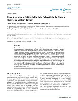 Rapid Generation of In Vitro Multicellular