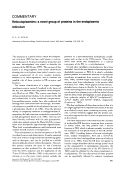 Reticuloplasmins: a novel group of proteins in the endoplasmic